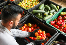 Photo of Projeto cria Política de Combate à Perda e ao Desperdício de Alimentos e institui o Selo Doador de Alimentos do Ceará